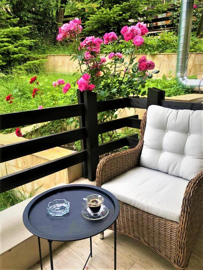 Casa Varful Cu Dor Σινάια Εξωτερικό φωτογραφία