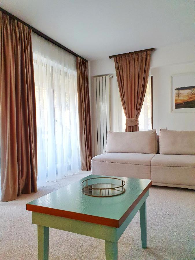 Casa Varful Cu Dor Σινάια Εξωτερικό φωτογραφία