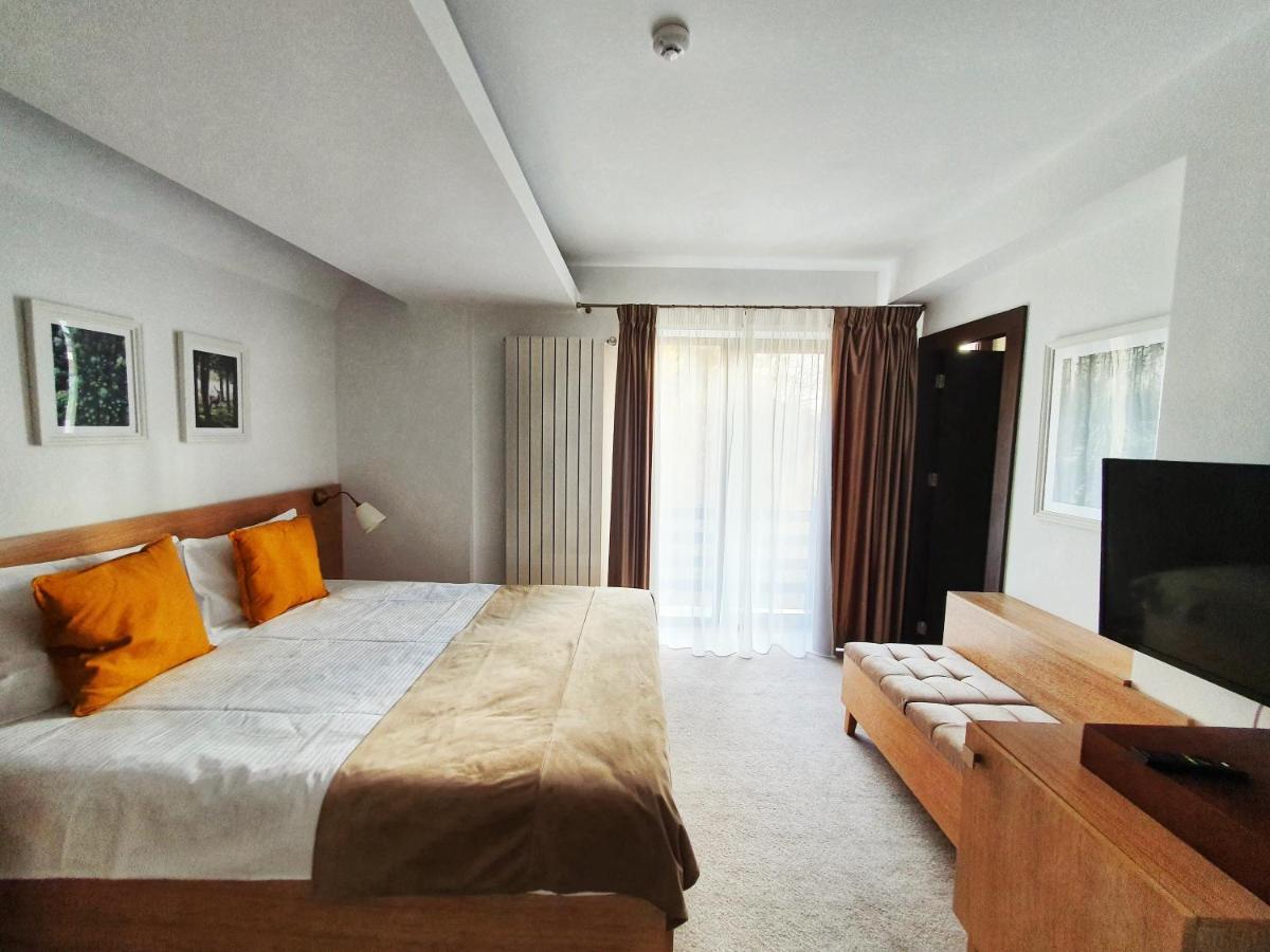 Casa Varful Cu Dor Σινάια Εξωτερικό φωτογραφία